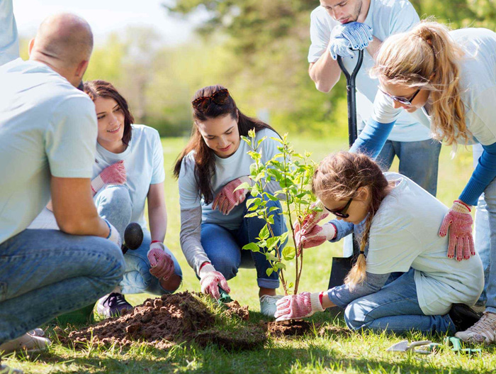 Community Participation